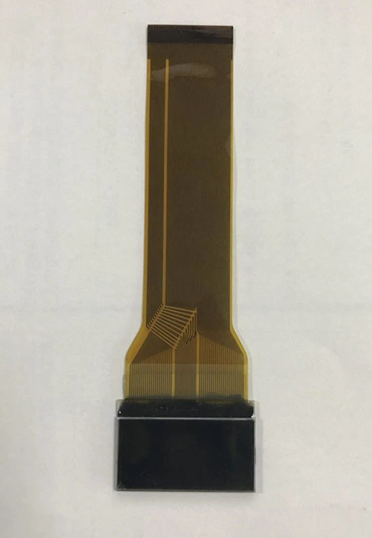Segment + grafisch LCD-scherm